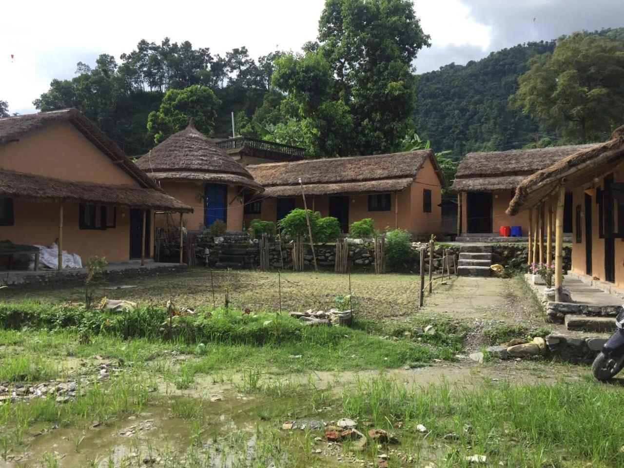 My Beautiful In Lodge