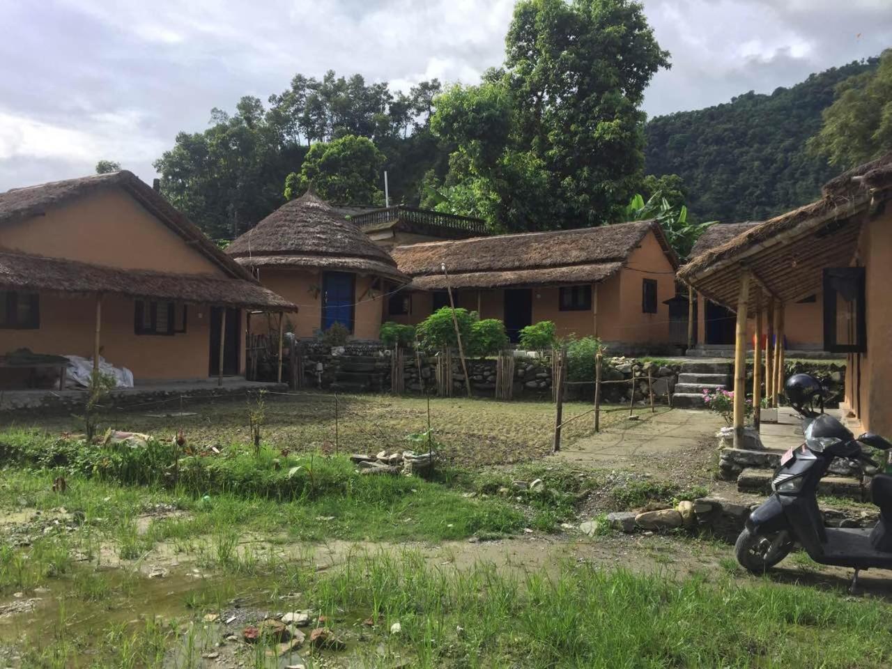 My Beautiful In Lodge *